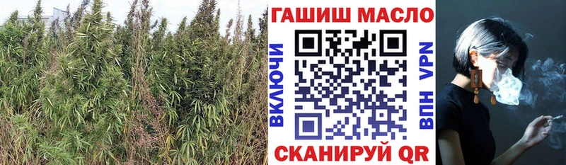 Дистиллят ТГК концентрат  Чишмы 