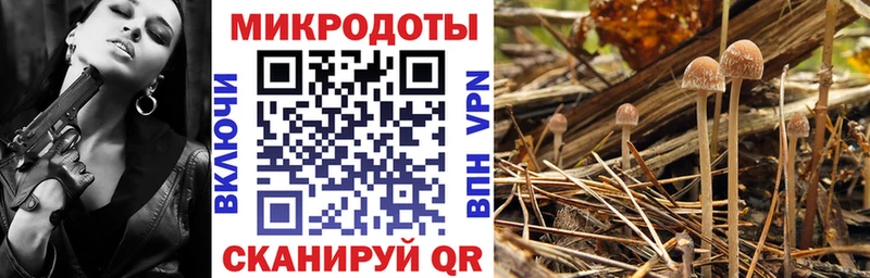 Псилоцибиновые грибы MAGIC MUSHROOMS  hydra сайт  shop телеграм  Чишмы 